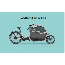 Ca Go E-Cargo FS200 Life Family-Plus